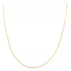 NWT 24k Gold Over Silver Snake Chain Necklace 24"